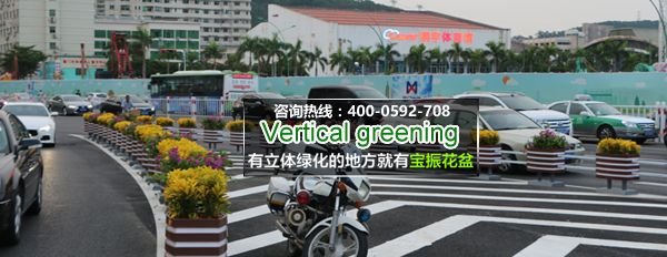 廈門(mén)體育中心附近道路花箱立體綠化