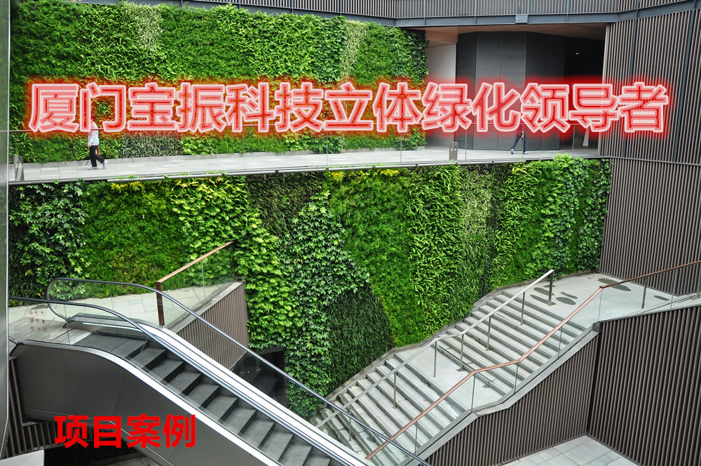 屋頂綠化的技術及實施-廈門寶振科技