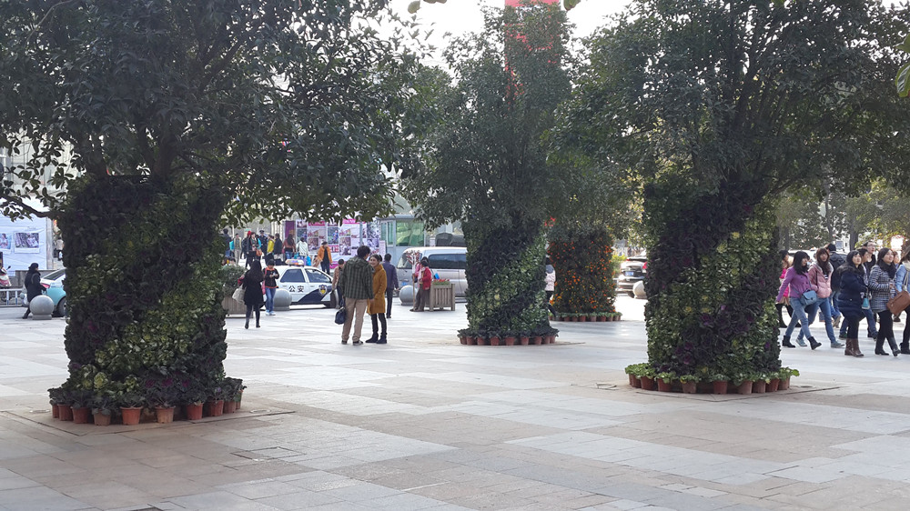 垂直綠化廈門大學綠地景觀改造-廈門寶振科技